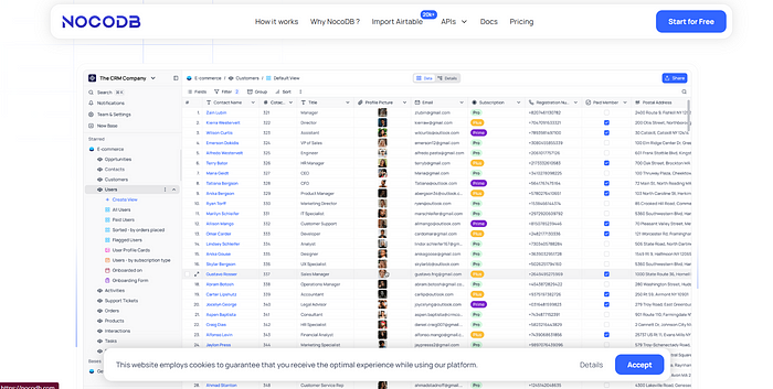 Interface NocoDB